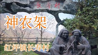 神农架-红坪镇长寿村