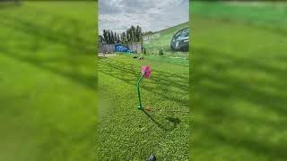 The best sprinkler for lawn watering )) \ лучший дождеватель для полива газона ))