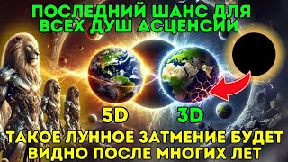 ЛЬВЫ СИРИУСА ПРЕДУПРЕЖДАЮТ: Души в Вознесении находятся на грани активации в день Лунного Затмения