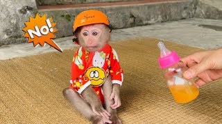 Baby monkey Tina wants her mother to take her out to play and refuses to drink orange juice.