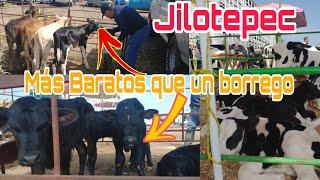 JILOTEPEC EDOMEX / mercado de animales @ElRanchoyyoTagDominguez