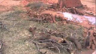 18 - John Goldie investigating brick manufacture in East Africa.