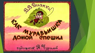 В. Бианки "Как муравьишко домой спешил"