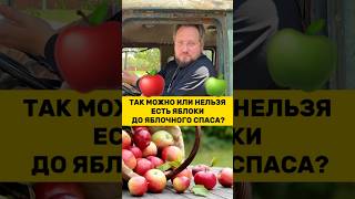 🍏🍎 МОЖНО ЛИ ЯБЛОКИ ДО ЯБЛОЧНОГО СПАСА? #почемучка #отношения #юмор  #психология #религия