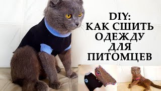 DIY: Одежда для мелких животных. Шитье по универальной выкройке