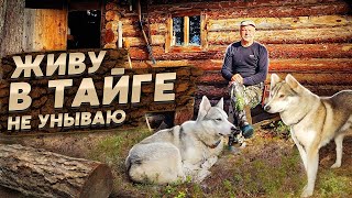 в Тайге не скучно.Нашли Оленя. Рыбалка.Дары лета.