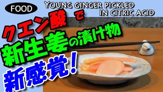 新生姜漬け　クエン酸で新感覚　Pickled seasonal ginger, a new sensation using citric acid　のんびりおやじFP　のんびりおやじF