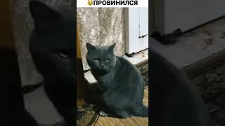 накосячил