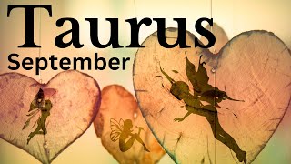 TAURUS SEPTEMBER 2024 | A SPECIAL OFFER, BRINGS WARMTH AND HAPPINESS