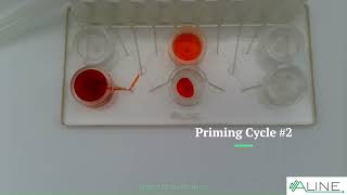 Universal Two Step Dilution