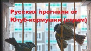 Русских прогнали от Ютуб-кормушки (стрим)