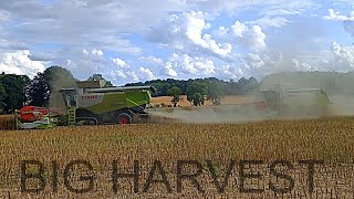 BIG HARVEST IN POLAND🇵🇱 2X LEXION💚[ LEXION 770 TT/460] John Deere & Claas💚