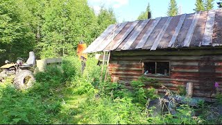 От таких Хариусов ДУХ захватывает! Рыбалка на мизерной речке в тайге. Живём в избушке моего деда.