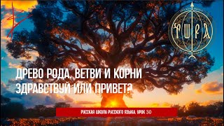 Урок 30. Здравствуй или привет? Древо рода. Ветви и корни. Виталий Сундаков