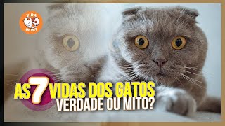 QUANTO TEMPO VIVE UM GATO?