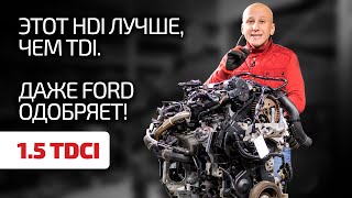 👍1.5 TDCI - прекрасный французский дизель для Ford. Какие недостатки в нём есть?