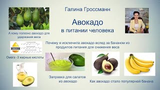 Авокадо в питании, на каком этапе похудания его можно включить в рацион, Галина Гроссманн