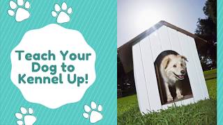 Teach Your Dog to Kennel Up | Beginner Level