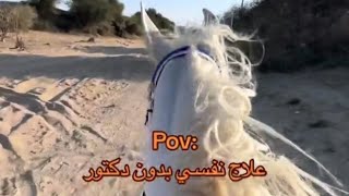 الخيل تسعد النفس بأي طريقة 💛🐴