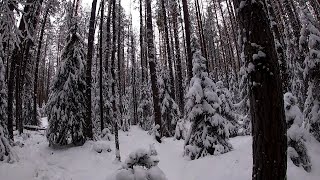 ПЕРВЫЙ ЛЁД. Зимняя рыбалка на речке.