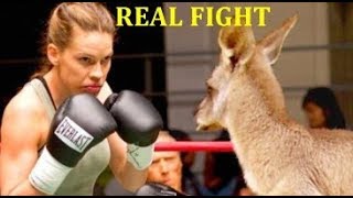 Kangaroo VS Human Real Boxing. WHO WINS?