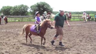 2015 WNY USPC games rally - 5 flag - Dancing Ponies