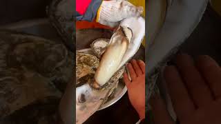 It's still the same size after cooking #shortsfeed #youtubeshort #oysters