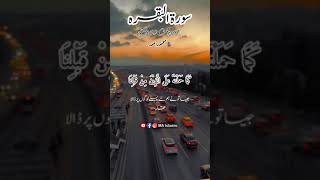 #naatsharif #viral #tiktok #ishqnabi #tilawat #share #viralvideo #short #foryou #popular #quran(5)