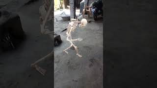 skeleton 🦴 funny # dance 😂 viral # video 😍 trending # short 🙏