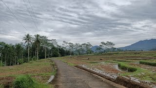 Dk Sibudah Dk Timbang Dk Sempol Desa Sempol Kec Sukoharjo Kab Wonosobo Motovlog