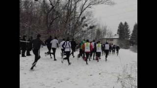 Salzburger Crosslauf Landesmeisterschaften am Salzachsee