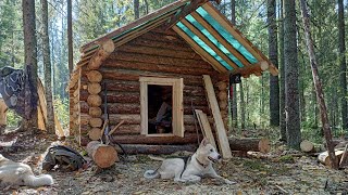 СТРОИТЕЛЬСТВО ТАЁЖНОЙ ИЗБЫ Ч.3. ПОСЛЕ ЭТОГО ИЗБА СТАЛА УЮТНЕЕ В РАЗЫ!