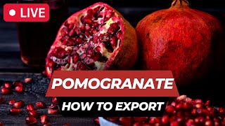 Live pomegranate export process | export import business | export import | New Business 2023