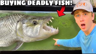 I Bought Bass Fishing Productions Extremely Dangerous Fish!