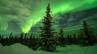 Arctic Auroras - 8K Ultra HD Northern Lights Timelapse Compilation from Fort Yukon, Alaska