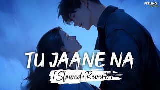 Tu Jaane Na - (Slowed+Reverb) | Atif Aslam | Feeling AESTHETIC