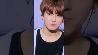 Jungkook 💜 Jitni Dafa Dekhun Tumhen...❤️‍🩹 |WhatsApp Status| @PooluvJimin #bts #jungkook #shorts