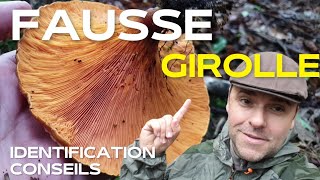 [ #masterclass champignons inconnus ] ➡️ Identifier la fausse girolle !