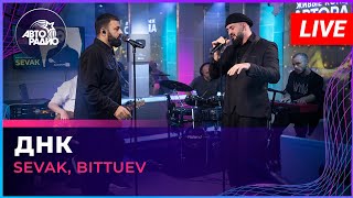 Sevak, Bittuev - Днк