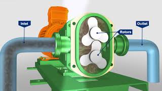 Rotary pump calcification