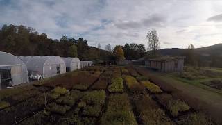 Dundreggan Tree Nursery