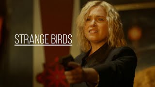 Clarke Griffin || Strange birds