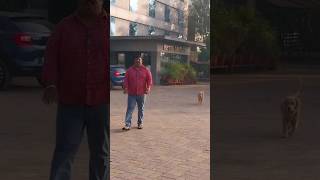 Statue of unity#shorts #Breakfast#youtubeshorts #surat#gujarat