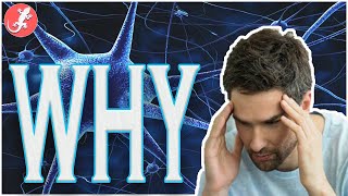 Why Do We Get Headaches?