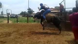 treino em boituva