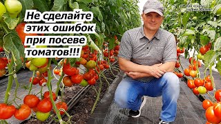 Сеем томаты на рассаду- пять важных советов для дружных всходов!