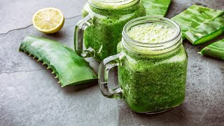 Bienfaits : Aloe Vera 🌵 - Allez Santé !