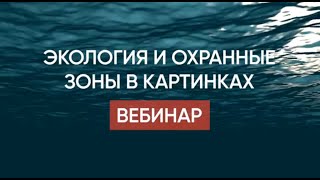 Экология и охранные зоны в картинках: риски для компаний