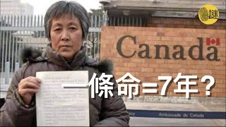 38歲的李宗元在申請新西蘭移民的時候 被政府查出眾多黑幕 其中最重要的一點是 原來這個申請難民簽證的李宗元 身上竟然還背著一條人命......