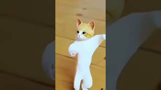 Kucing Random #shortvideo